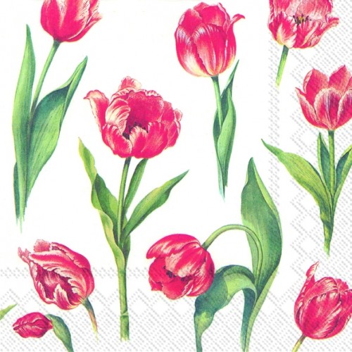 Красные  тюльпаны, белый. Салфетки бумажные для декупажа. Размер : 33*33 см.
