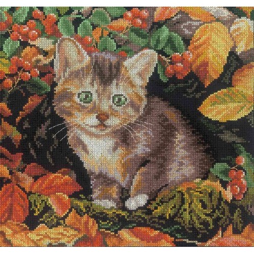 Осенний котенок. Набор для вышивания: мулине хб,счетный крест,канва 14 белая ,размер: 25*25 см .