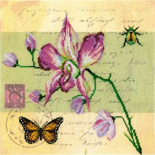 Орхидея Почтовая открытка. Набор для вышивания: мулине хб,счетный крест,канва 14 бежевая,размер: 25*25 см .