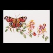 Бабочка-Жимолость.  Набор для вышивания: мулине хб,счетный крест,лен 36 каунт,размер: 29*18 см.   