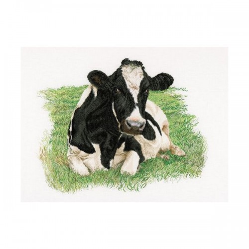 Корова (вид спереди). Набор для вышивания: мулине хб,счетный крест,лен 18  белый,размер: 60*45 см . 