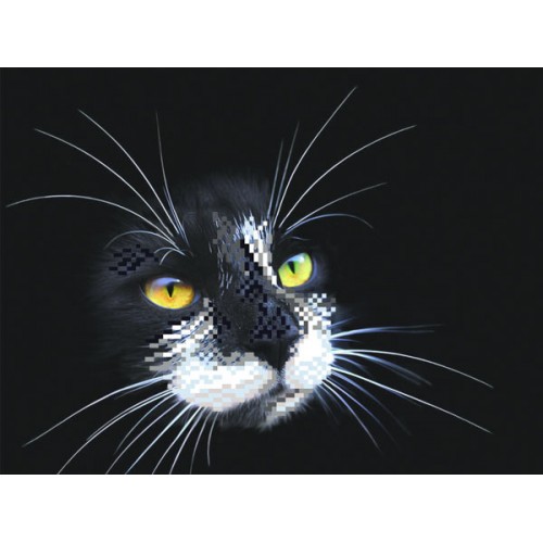Черный кот. Рисунок на шёлке для вышивания бисером. Размер: 18*24 см.